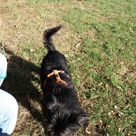 Im Herbst 2018 im Allgäu (3)